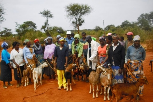 Goat Dairy keeping
